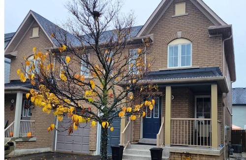 Ajax Apartment | Charming 1 BDR Studio in Ajax! Sleeps 2