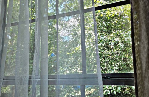 Stone Mountain House | Charming 1-bedroom . Bathroom and Others areas Shared.