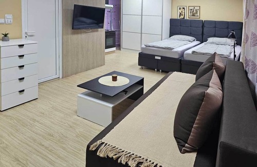 Zajecar Apartment | Charming 1-bedroom apartment with AC, WiFi in fabulous Zaječar