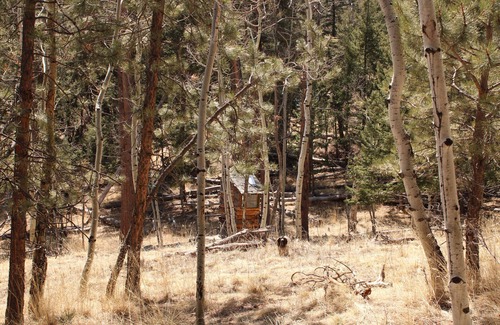 Bailey Cabin | Charming 1-bedroom Miner's Cabin For Mountain Adventurers in Colorado with Wi-Fi