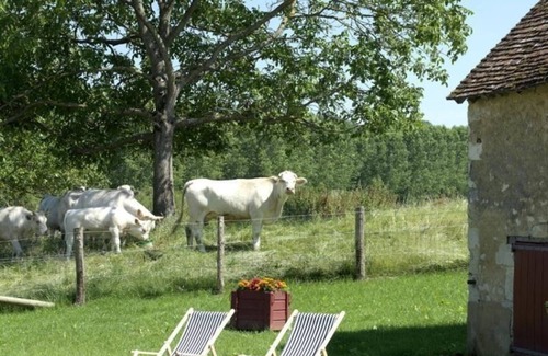 Pervencheres Cottage | Charming 18th-Century Cottage: 3 Bedrooms, Fireplace, Large Garden, Near Scenic Villages