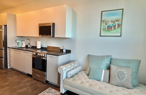 The Port Apartment | Charming 1B1B studio near Harvard and MIT with beautiful views