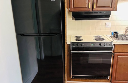 Whittaker Apartment | Charming 2 Bed Apartment by Ann Arbor