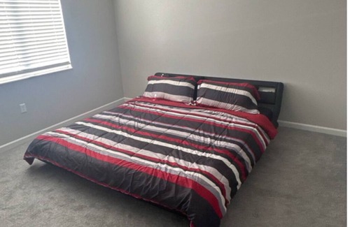 Charlotte Apartment | Charming 2-bedroom apartment with WiFi, AC in brilliant Charlotte