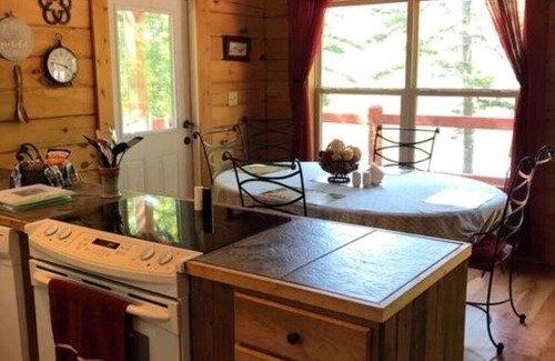 Dunlap Cabin | Charming 2-bedroom cabin with AC, WiFi on private lake in Dunlap, Tennessee