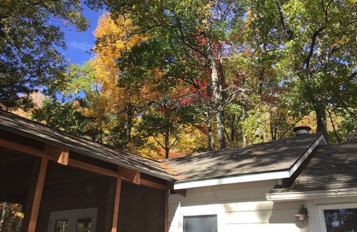 Kalkaska Cottage | Charming 2-bedroom cottage on beautiful Bear Lake with WiFi and AC in Kalkaska.