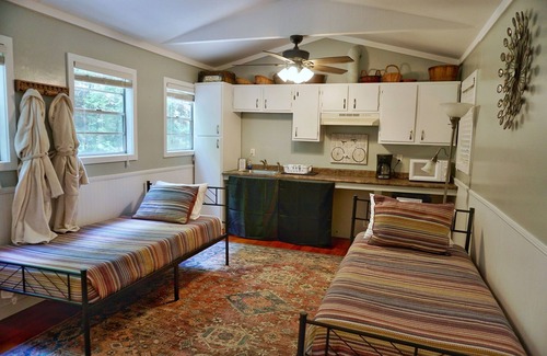 Ellijay Cabin | Charming 2-bedroom POND NOOK cabin at Mulberry Gap with AC, WiFi, & Kitchenette!