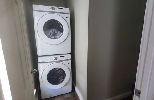 Bangor Apartment | Charming 2-bedroom, sofa bed, apartment with AC, WiFi in peaceful Bangor