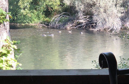Grants Pass House | Charming 2bed/2bath home with covered deck right on the beautiful Rogue River