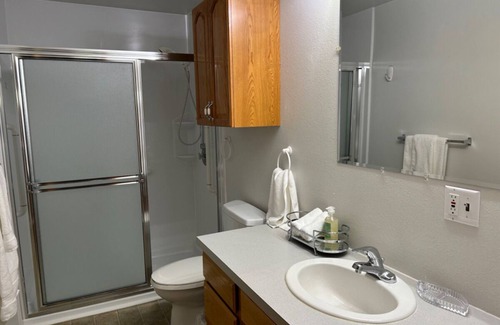 Steptoe Apartment | Charming 2BR/1BA, W/D, kitchen, patio, 20 min to WSU