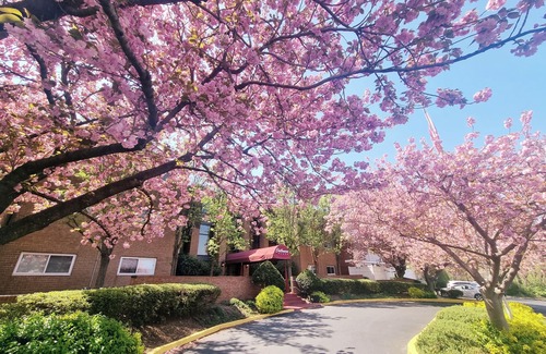 Elkins Park Apartment | Charming 2BR 2B in Elkins Park Monthly Discount