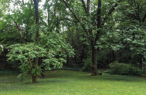 North Decatur Cottage | Charming 3-bedroom cottage in delightful Decatur with King bed