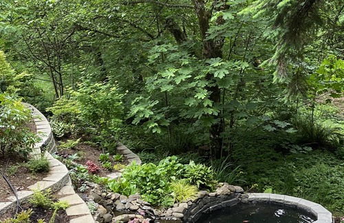 Stevenson Cottage | Charming 3-bedroom cottage with WiFi, AC in awesome Carson