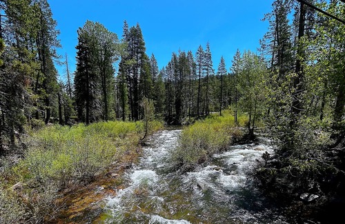Pla-Vada Woodlands Cabin | Charming 3BR Getaway/10 min to Donner Lake/BBQ/Hikes/Board Games/Fireplace