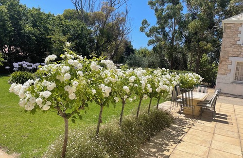 Naracoorte House | Charming 4-bedroom Historic Homestead with AC & 3 acres of gardens in Naracoorte
