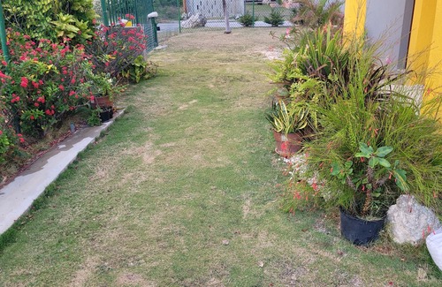 Ragged Point Apartment | Charming apartment in beautiful St. Philip with Wi-Fi, AC