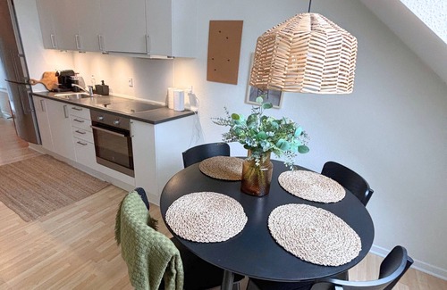 Odense Apartment | Charming apartment in the heart of Odense with roof view
