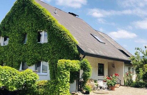 Jechtingen Apartment | Charming apartment with barbecue area directly on the vineyard