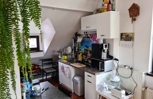 Nowa Huta Apartment | Charming apartment with terrace and garden view.