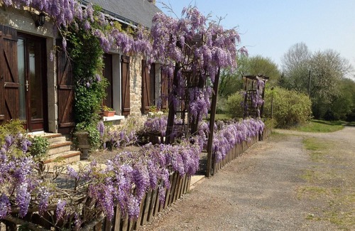 Lignol House | Charming Breton cottage in a secluded woodland setting with pool and spa