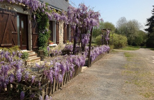 Lignol Cabin | Charming Breton cottage in a secluded woodland setting with pool, and spa