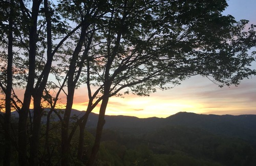 Vilas House | Charming cabin on 20 Acres with Big Views, near Boone, King Bed, and WiFi