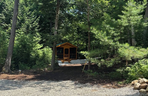 Chocorua Cabin | Charming cabin with AC in the White Mountains nTamworth Nh