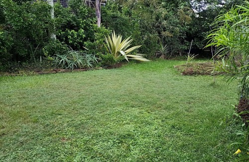 Coorparoo House | Charming Central Convenient Peaceful 3bdrm home in Coorparoo