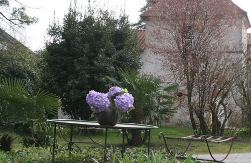 Villeneuve-sur-Lot Cottage | Charming Cottage with Swimming Pool South West