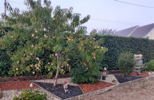 Meusnes Cottage | Charming cottage near Beauval Zoo, modern décor, garden, BBQ, free parking, A/C, non-smoking