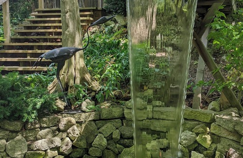 Harwich Cottage | Charming Cottage on Meadowcroft Estate - A Birders Paradise Nestled in the Woods