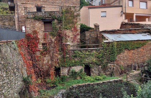 Pinofranqueado House | 🏡 Charming cottage with fireplace & patio – natural pool just 500m away! 🐶🐱💗