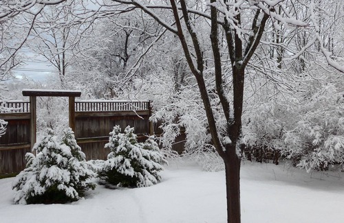 Middlebury Cottage | Charming Cottage within walking distance of Middlebury College/canoe available