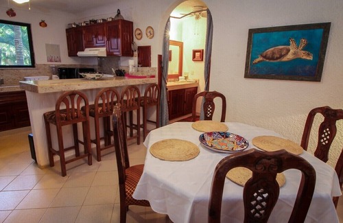 Akumal Condo | Charming, cozy beachfront condo in South Akumal, pool, AC and WiFi!