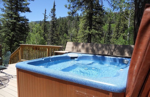 Columbine Lake Cabin | Charming Creekside Cabin-Romantic-Mtn/Waterfall Views-Hot Tub-1 mi to Purgatory