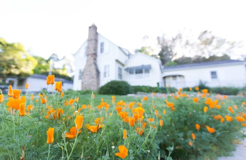 Paso Robles House | Charming Downtown Home with Wine Nearby. Pet Friendly!