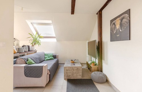 Erstein Apartment | Charming F2 in Erstein Comfort