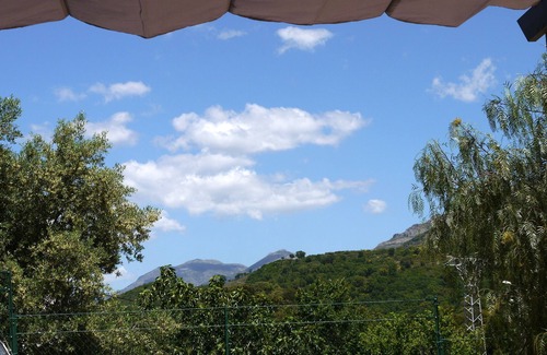 Oletta Apartment | Charming F2 with terrace and parking on the ground floor of a private villa