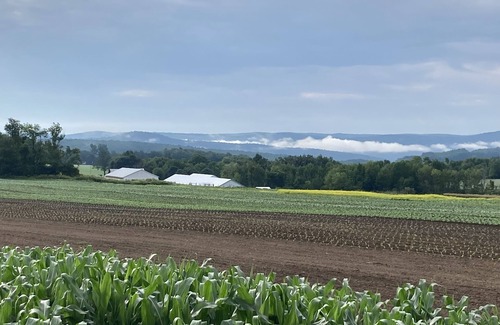 Richfield Springs Other | Charming Farmhouse Retreat minutes from Cooperstown! Scenic Views & Styish Decor