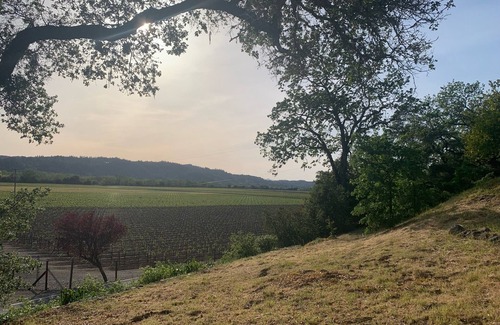 Geyserville Other | Charming Farmhouse in the heart of Alexander Valley