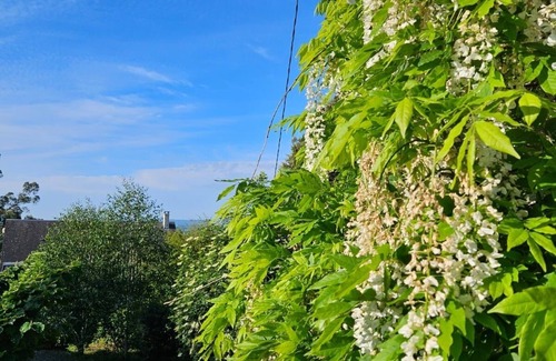 Landelles-et-Coupigny Cottage | Charming four bedroom house with acres of garden and pool in rural Normandy