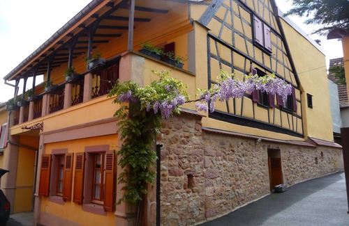 Saint-Hippolyte Apartment | Charming furnished accommodation at the foot of Haut-Koenigsbourg - Le Puits *