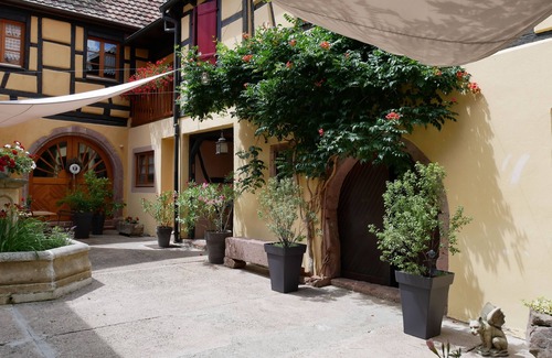 Saint-Hippolyte Apartment | Charming furnished accommodation at the foot of the Haut-Koenigsbourg - Le Caveau *