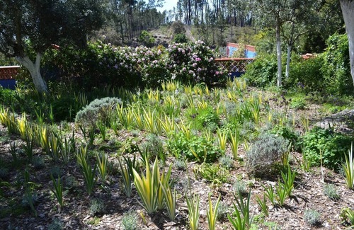 Pedrogao Grande Cottage | Charming Garden Retreat in Pedrogao Grande