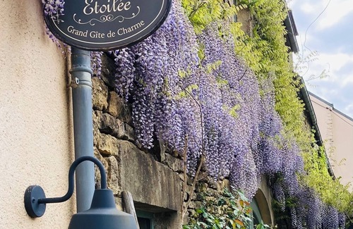 Saint-Pere House | Charming gite - La Coline Etoilée - Vézelay