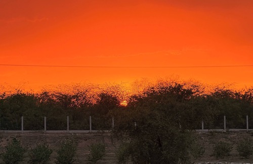 Punjab Other | Charming Guest House on a Farm near Kallar Kahar with WiFi, AC and much more!