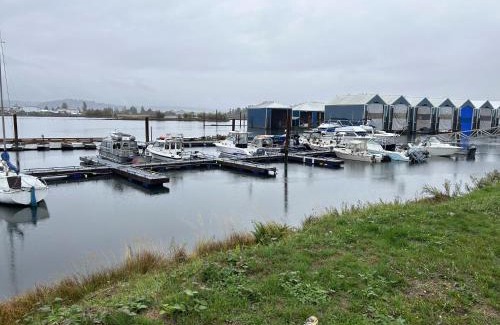 Campbell River Apartment | Charming Hidden Gem- Ocean View and Marina