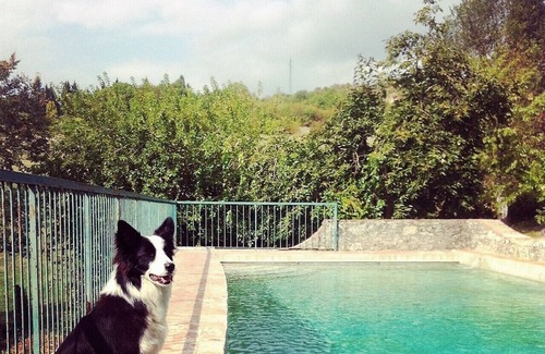 Rignano sull'Arno Villa | CHARMING HISTORICAL VILLA WITH PRIVATE POOL AND LOVELY GARDEN