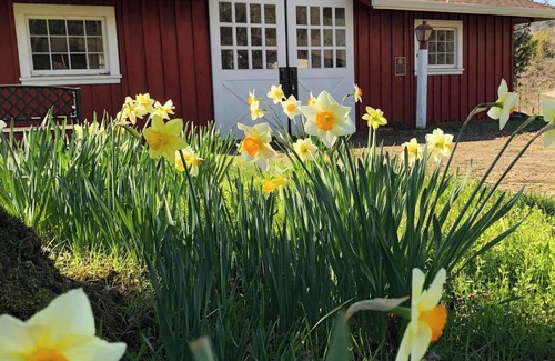 Willits Cottage | Charming Historic Apartment Cottage at Ridgewood Ranch