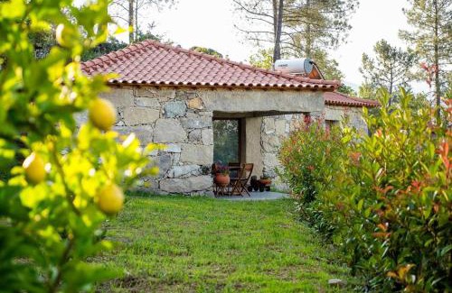 Mondim de Basto House | Charming house with shared pool Vilar de Ferreiros